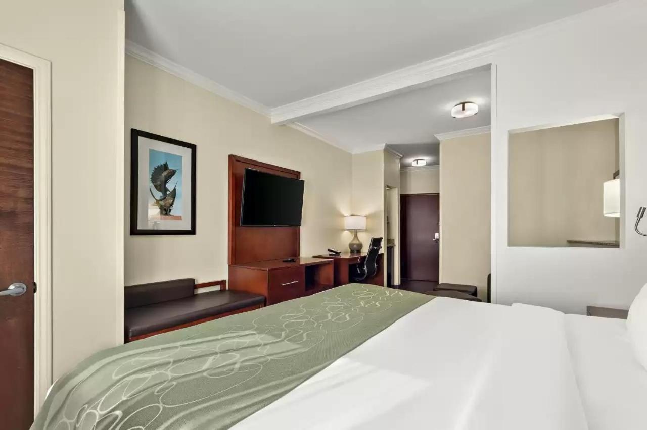 קורפוס כריסטי Comfort Suites Central מראה חיצוני תמונה