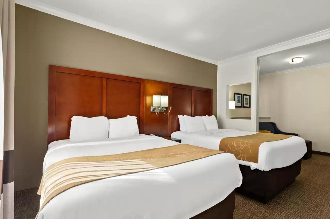 קורפוס כריסטי Comfort Suites Central מראה חיצוני תמונה