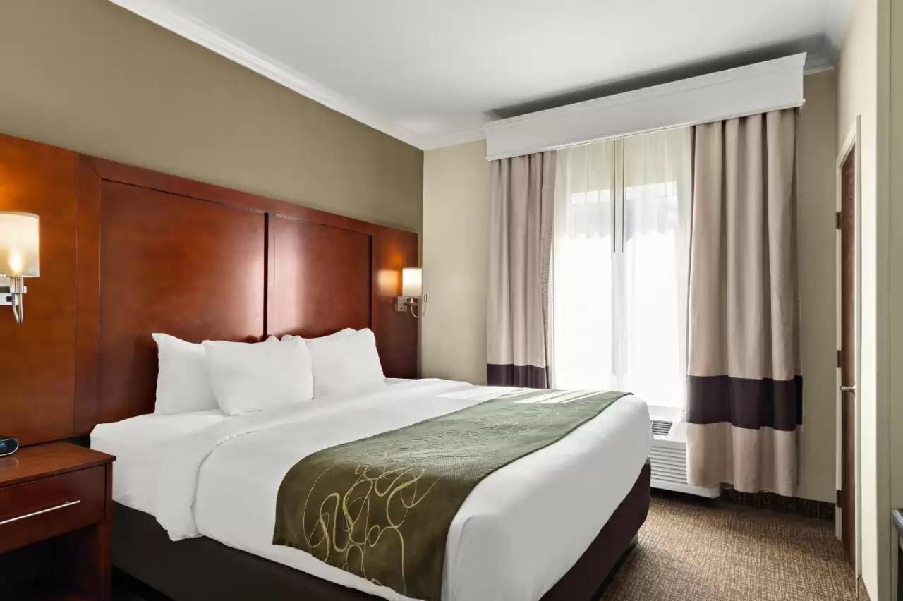 קורפוס כריסטי Comfort Suites Central מראה חיצוני תמונה