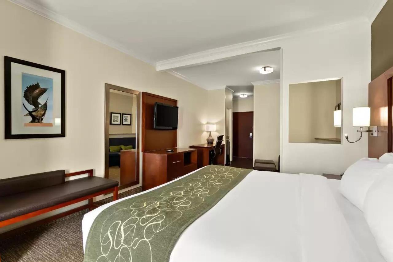 קורפוס כריסטי Comfort Suites Central מראה חיצוני תמונה